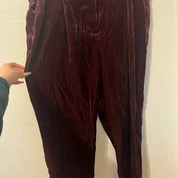 Pleated Tapered Pants in Velvet
Size 12 burgundy
Loft brand - Picture 5 of 8